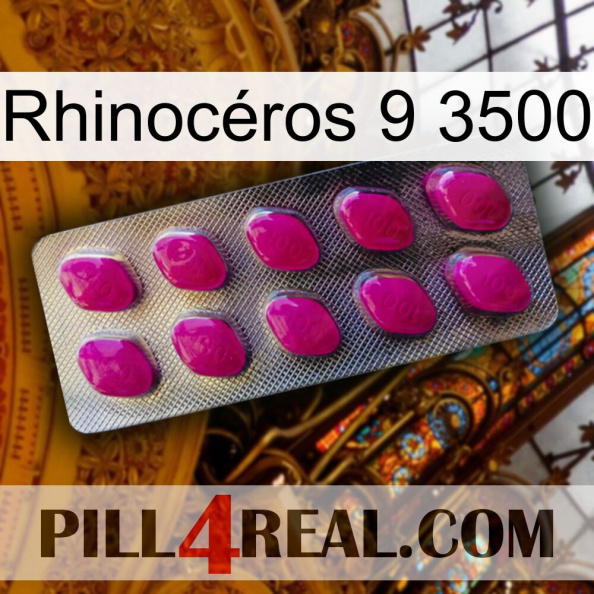 Rhinocéros 9 3500 09.jpg